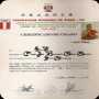 Certificaci&oacute;n de Grado Sifu, 1994